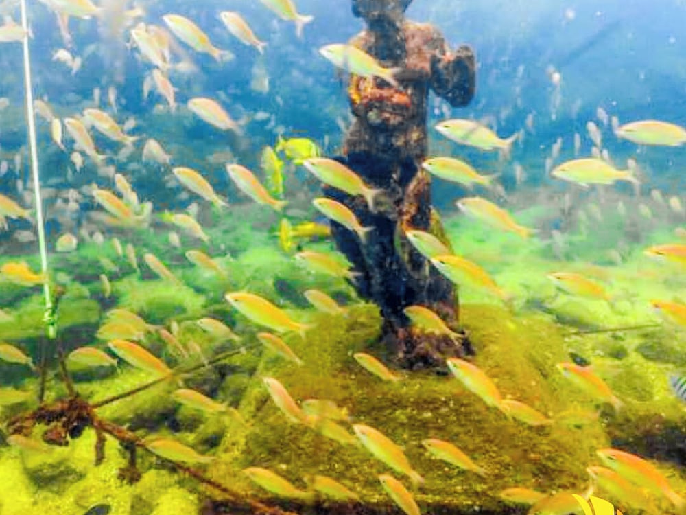 Pousada Face Norte 45/50