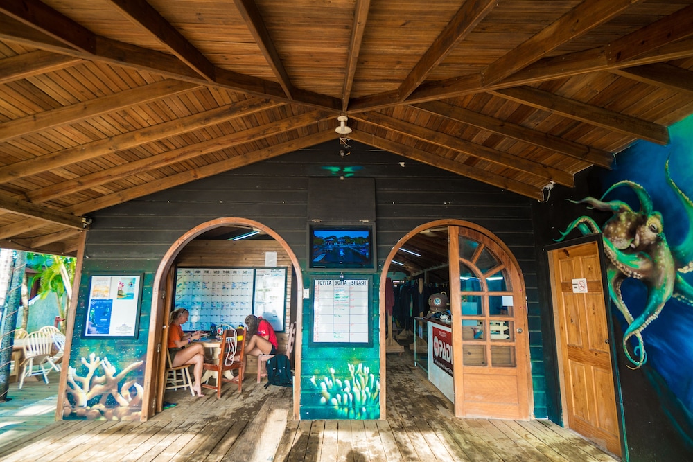 Splash Inn Dive Resort 24/38