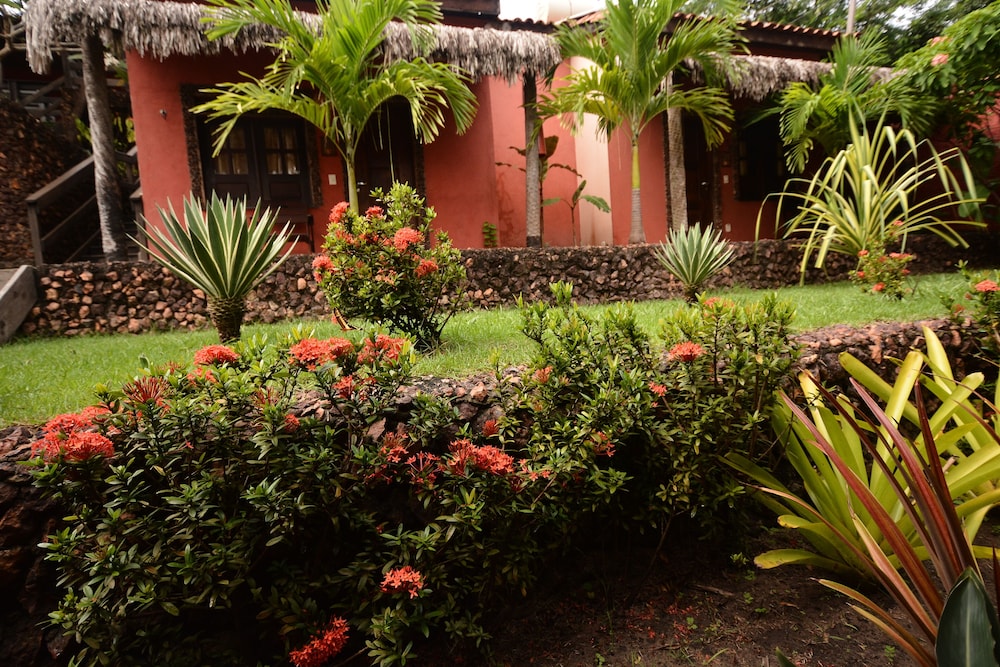 Encantes do Nordeste 45/50