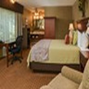 Best Western Plus Black Oak 43/76