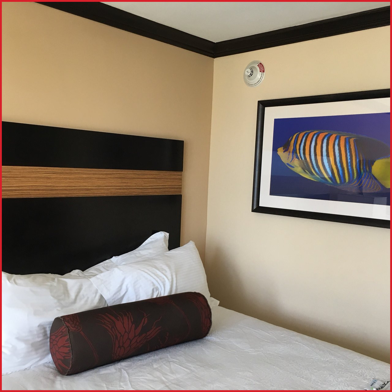Room, Quadruple, 2 Double Beds