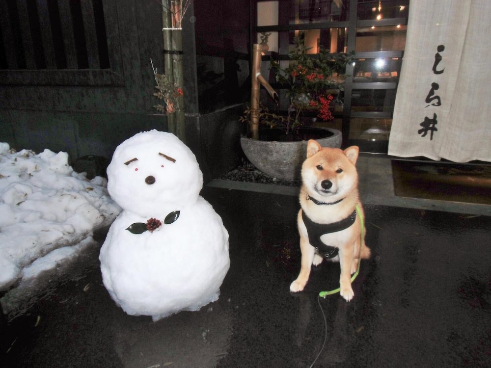 Kanazawa Share House Gaooo 11/18