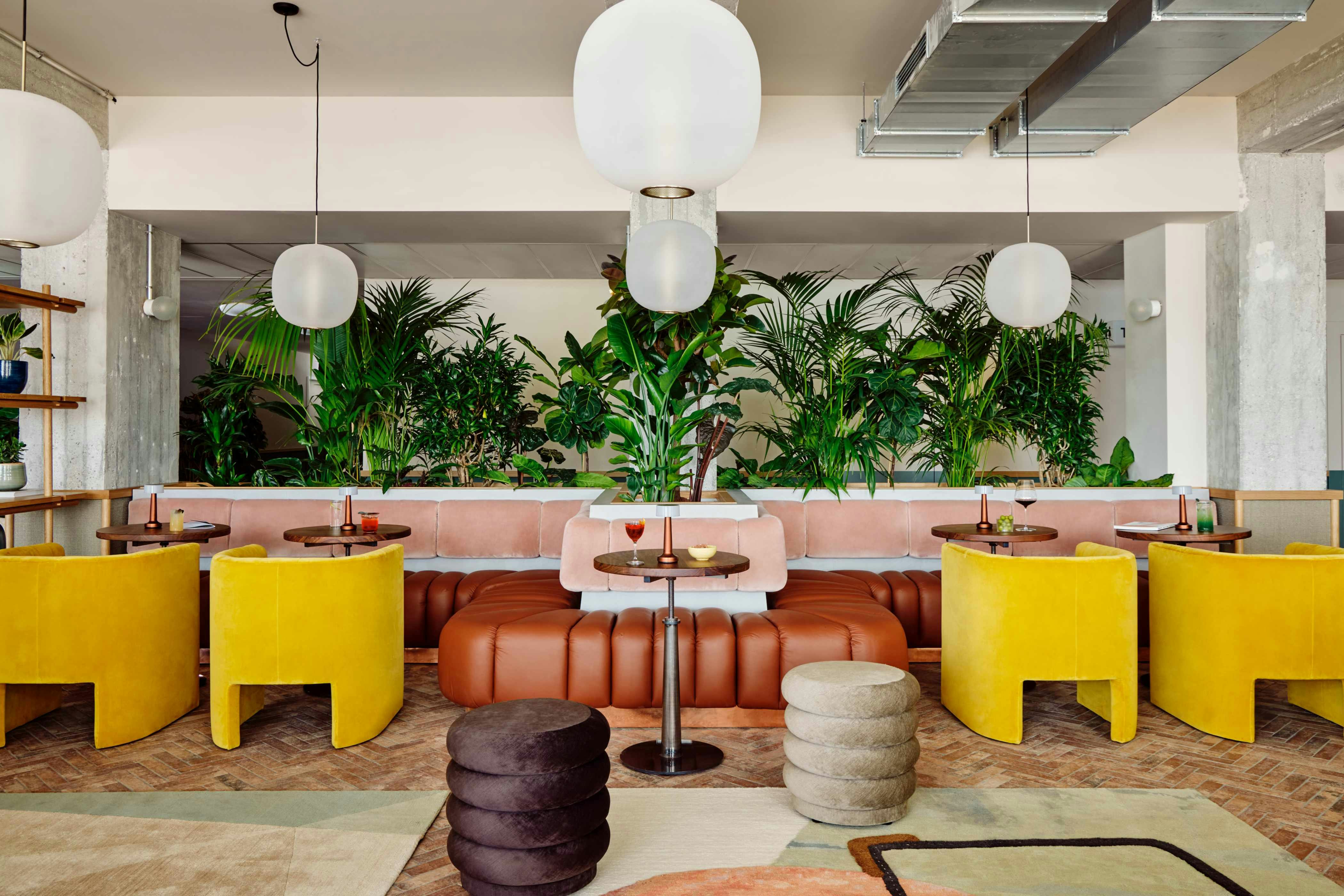 Wunderlocke 30/50