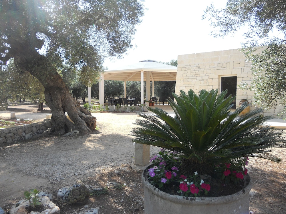 Tenuta Pigliano 50/55