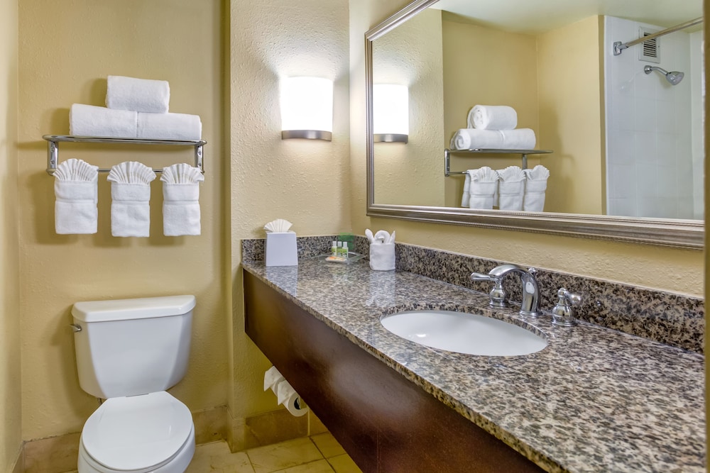 Holiday Inn Indianapolis North Carmel 12/47