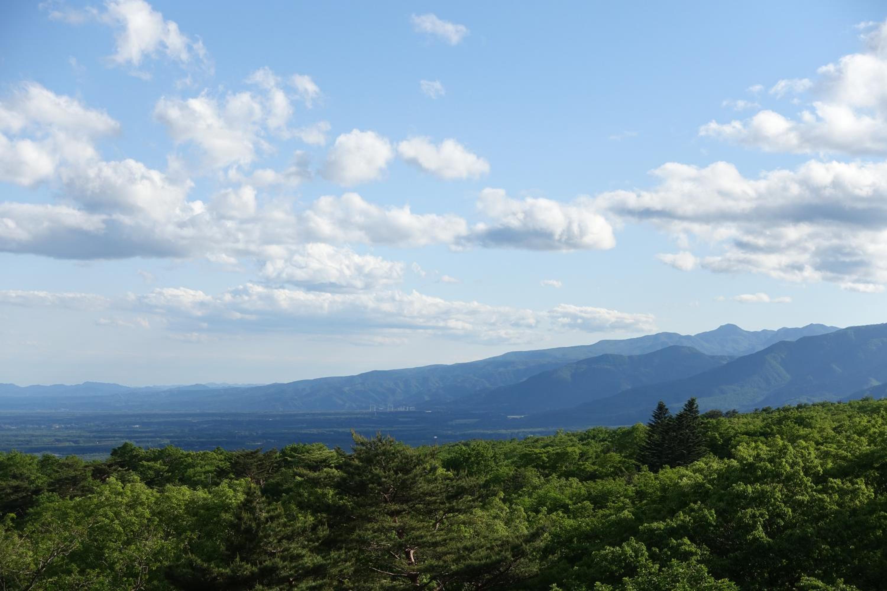 Nasukogen Hotel View Palace 42/48