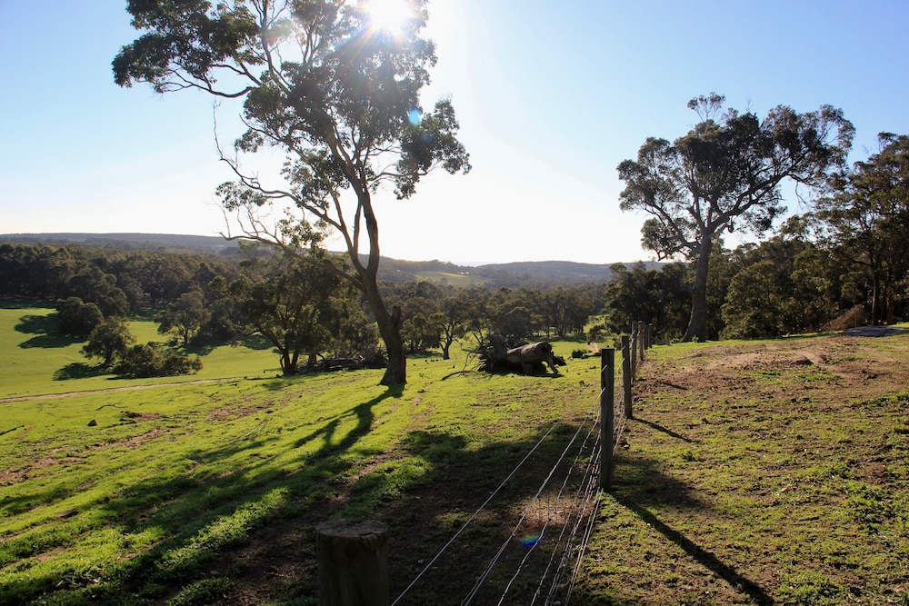 Wildwood Valley 42/50