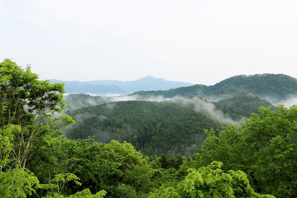 Yoshinoso Yukawaya 63/65