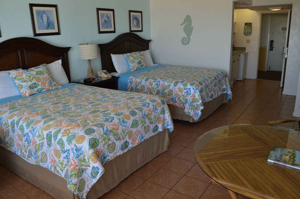 City, Studio, 2 Queen Beds
