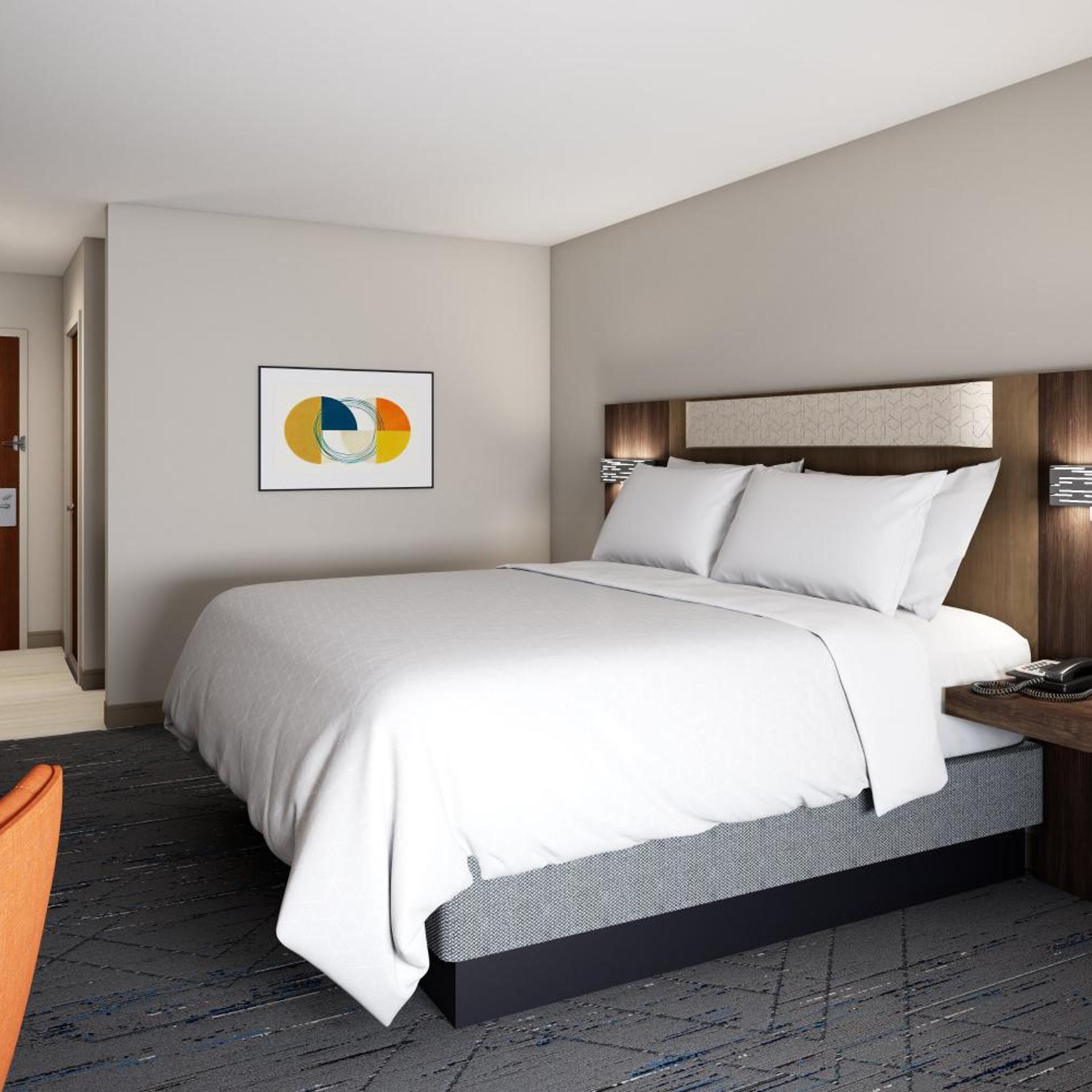 Mini, Suite, King Bed