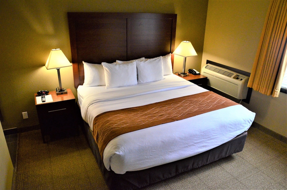 Comfort Inn & Suites Beaverton - Portland West 13/41