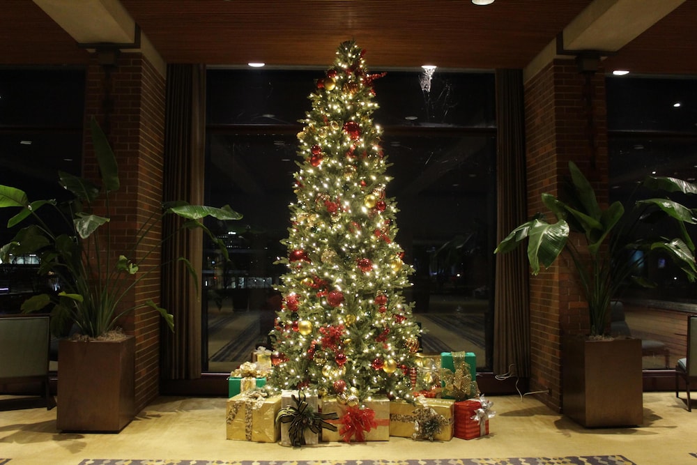 Hyatt Lodge Oak Brook Chicago 14/71