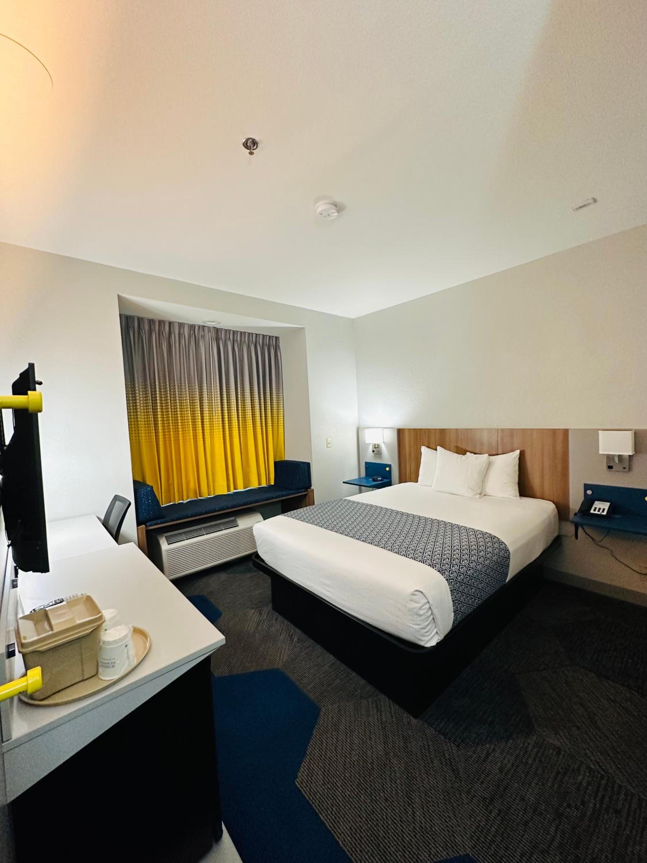 Studio, Suite, Queen Bed, Sofa