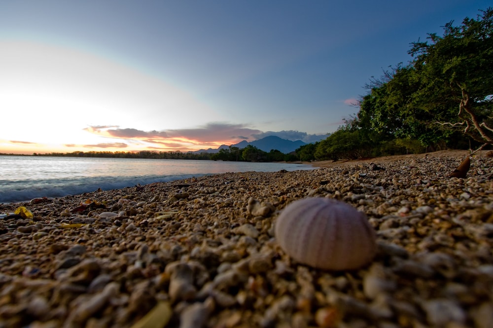 The Menjangan by LifestyleRetreats 41/50