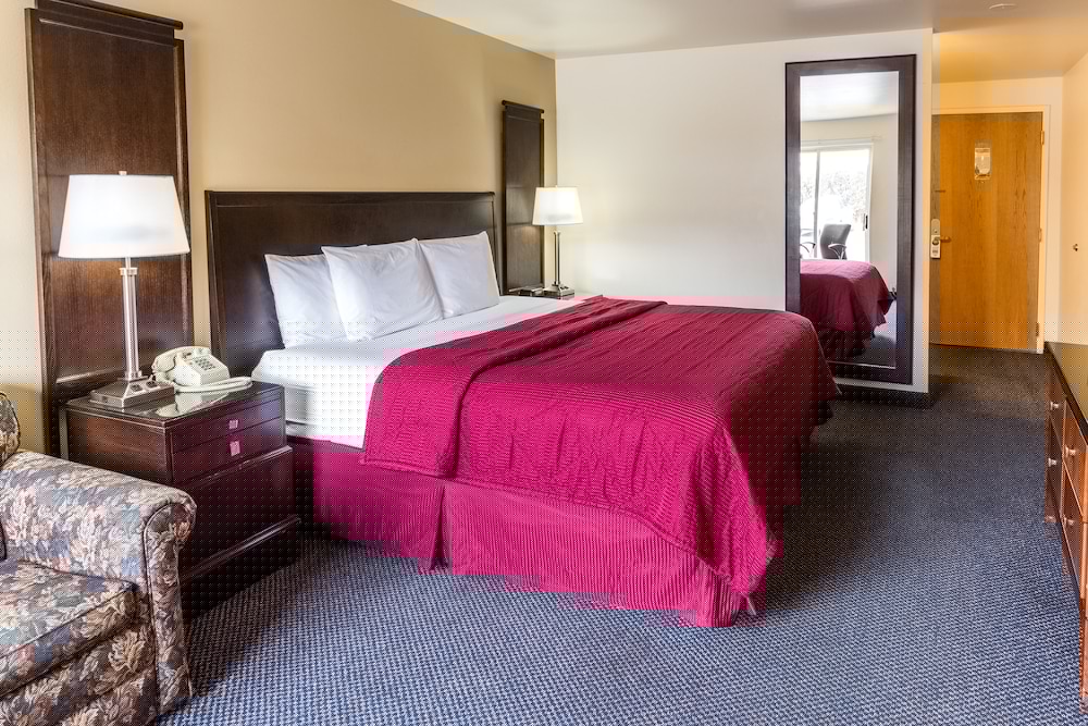 Cedars Inn 22/52