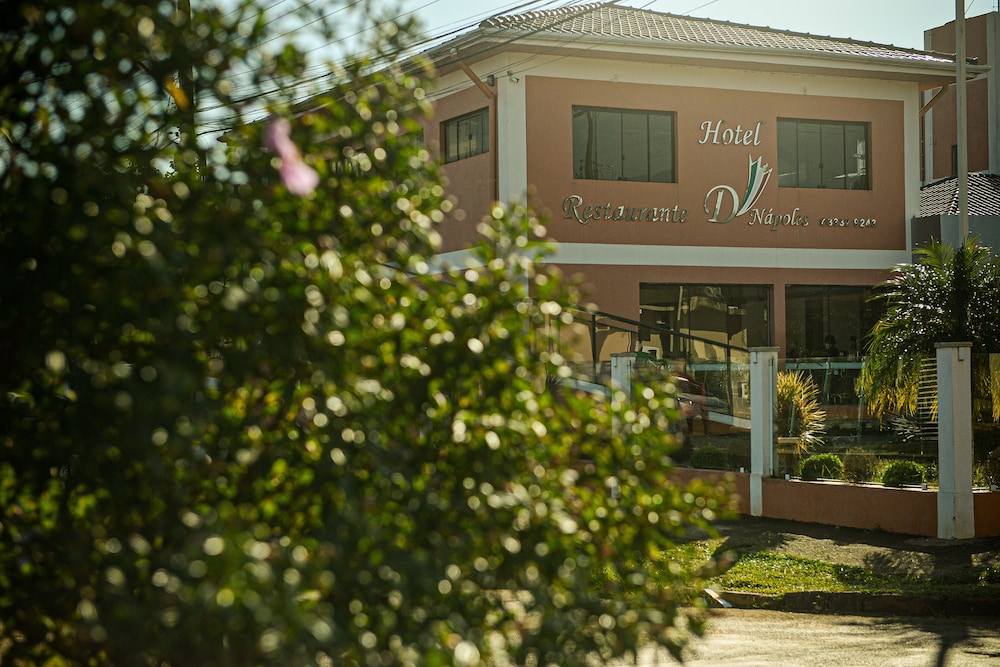 Hotel D Napoles 7/50