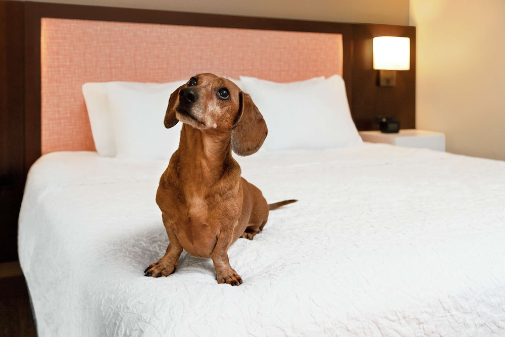 Hampton Inn Suites Overland Park South Ks 18/44