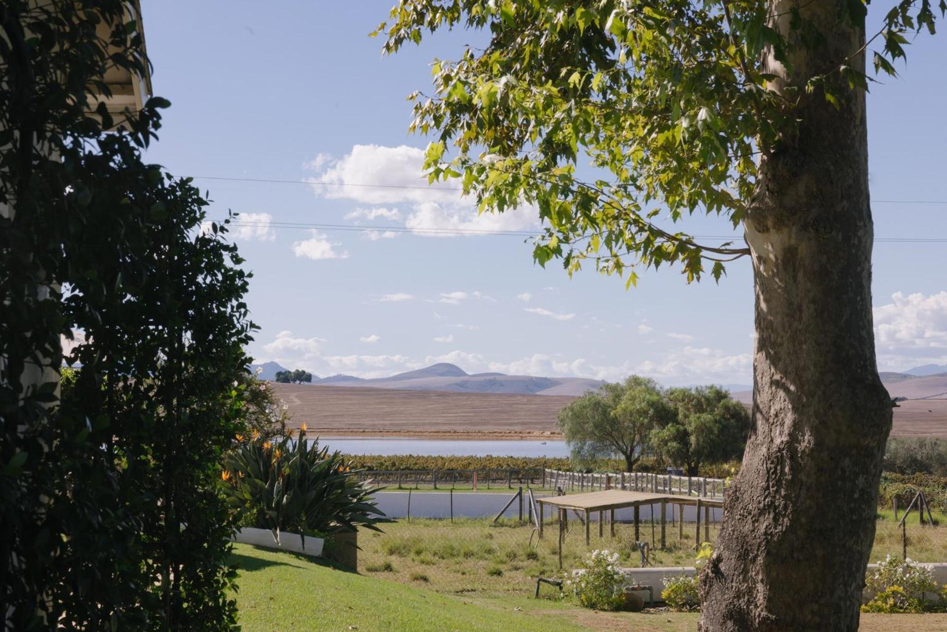 Doran Vineyards Accommodation 8/14