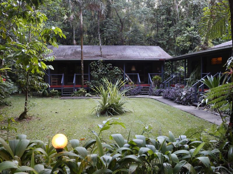 Rainforest, Family, Cabin