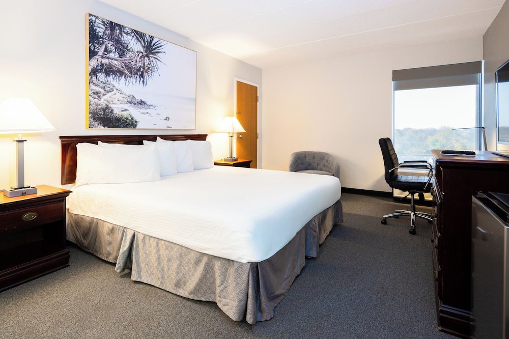 The View Inn Suites Hotel 29/69
