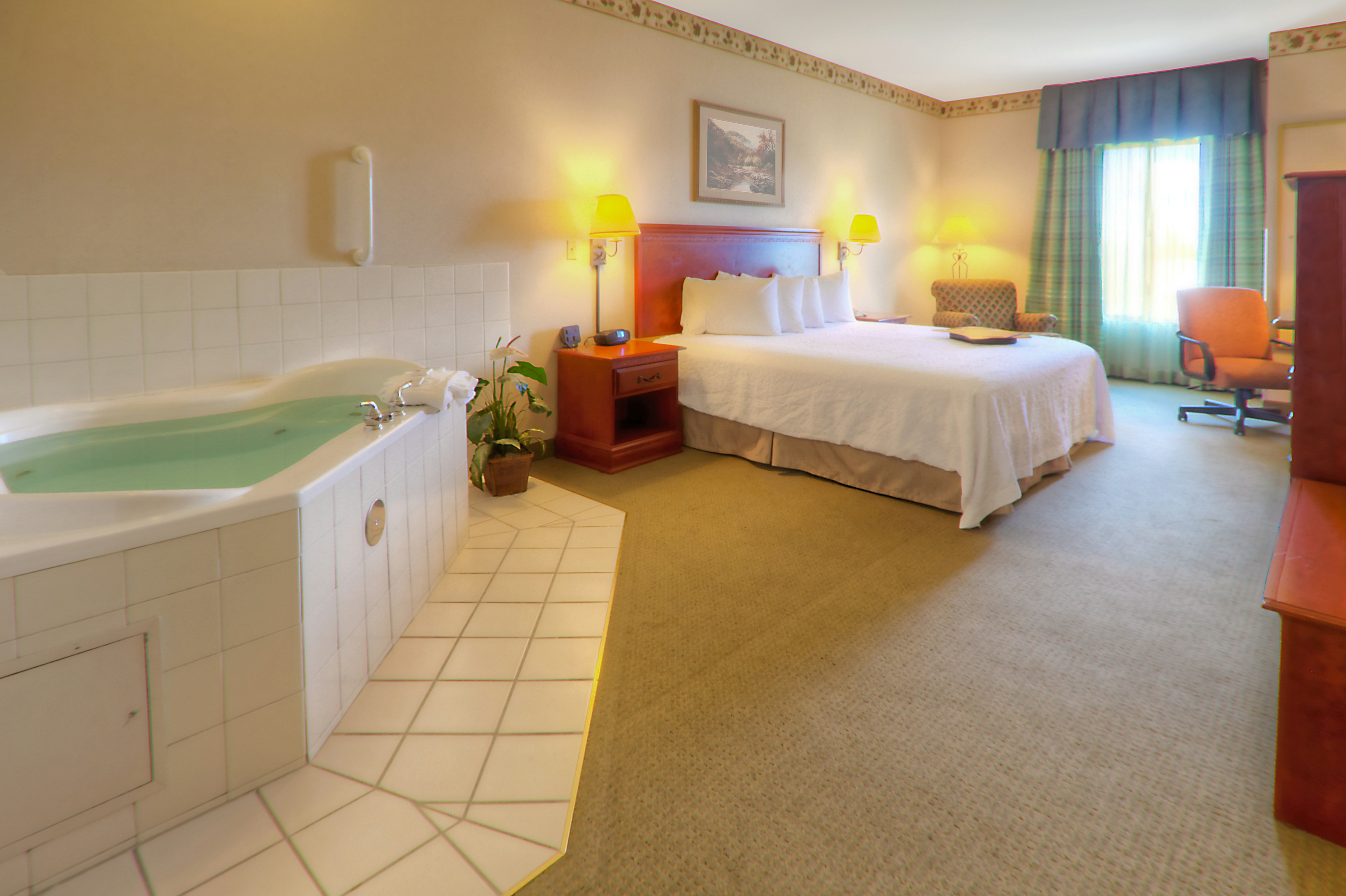 Hampton Inn Great Falls 17/44