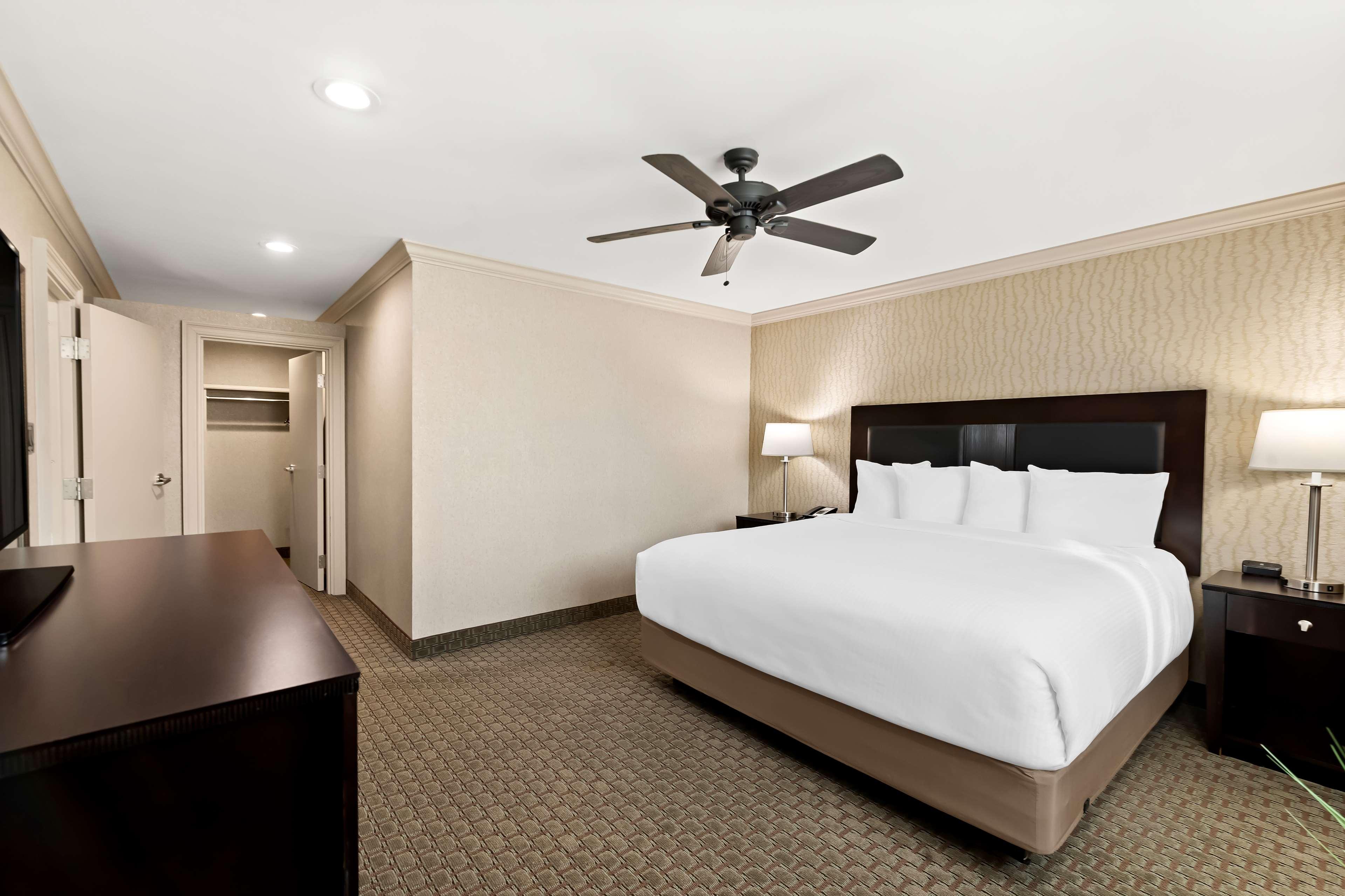 Suite, King Bed, Sofa, Living Area, Kitchen, Private Entrance