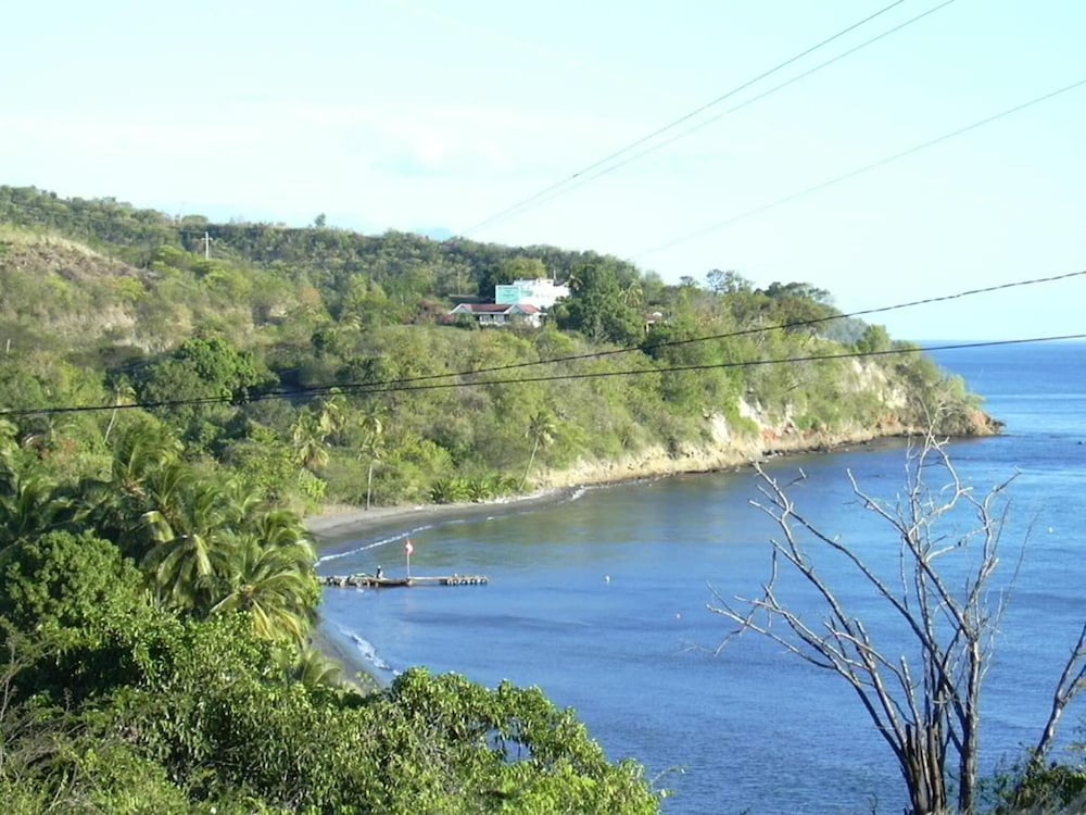 Tamarind Tree Hotel and Restaurant 33/50