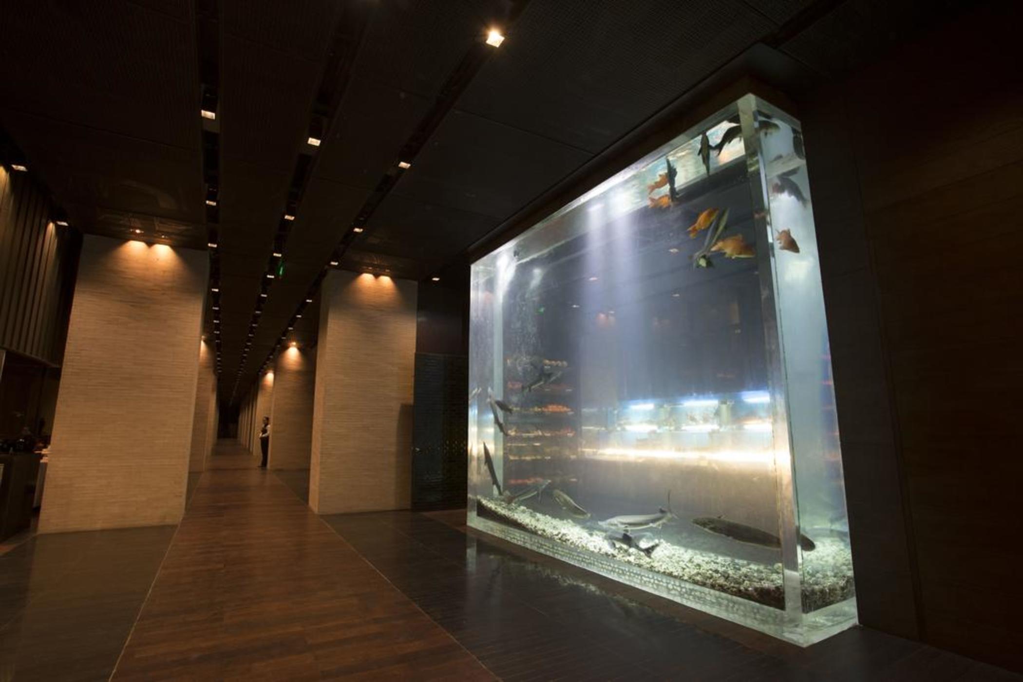 THE LALU QINGDAO 12/29