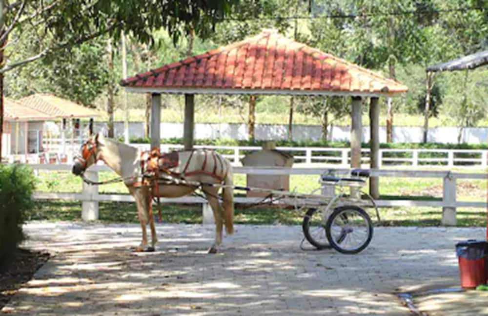 Resort Recanto do Teixeira - All Inclusive 52/61