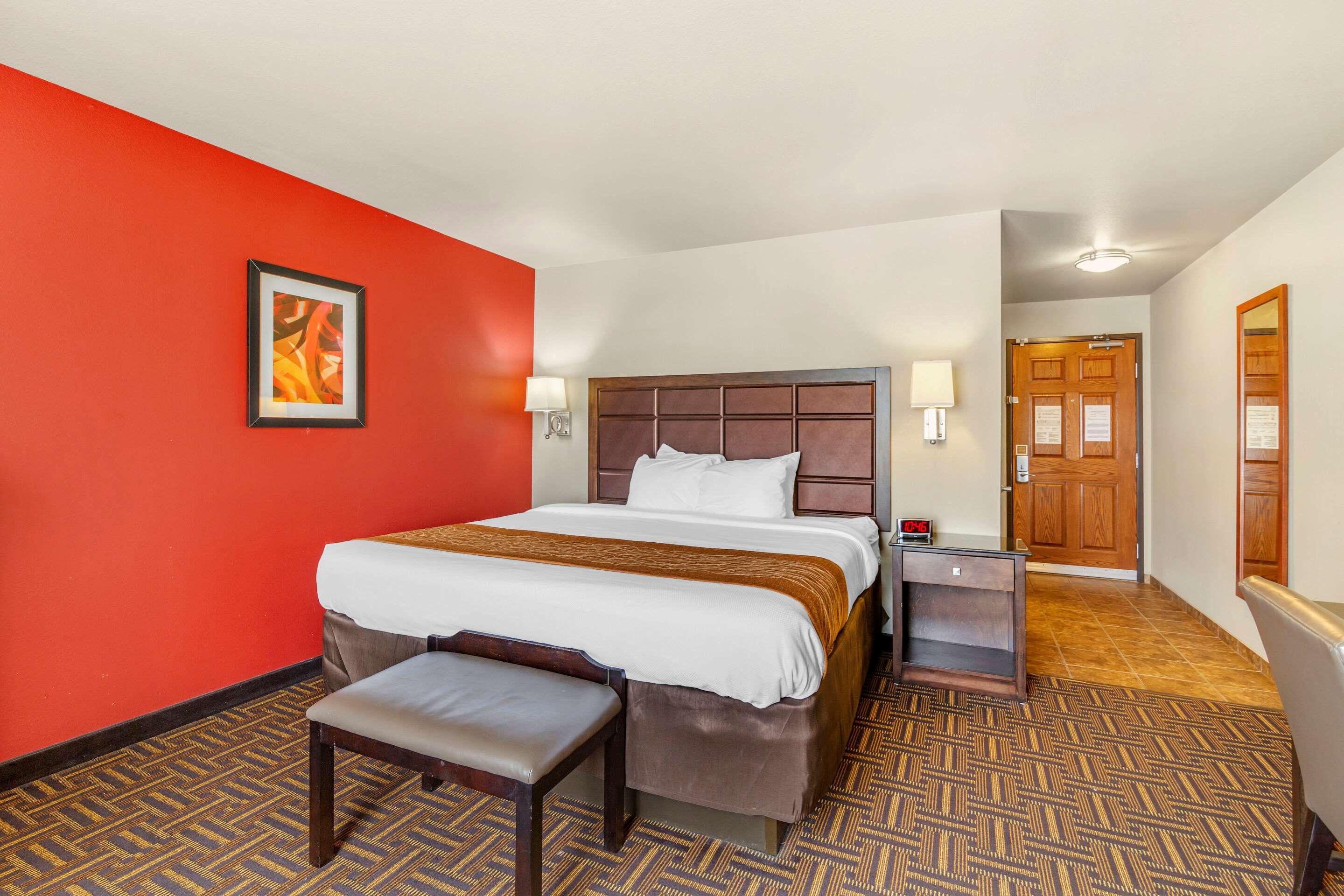 Suite, King Bed