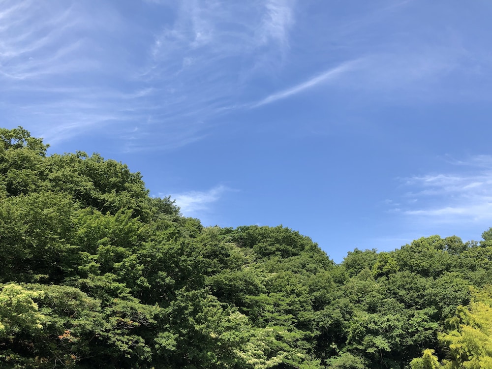 Hotel Gendairakuen Isehara 31/37