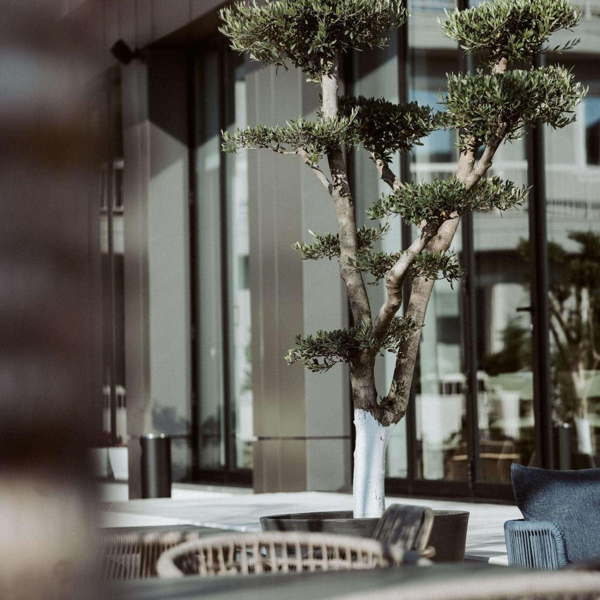 Naos Luxury Hotel 8/62