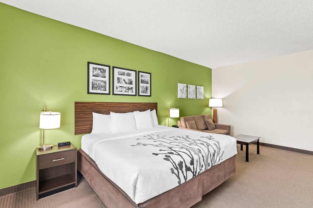 Suite, King Bed, Sofa, Accessible