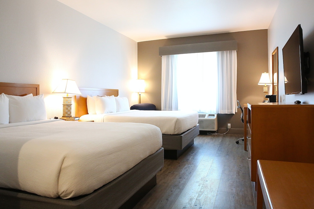 Standard, 2 Queen Beds, Accessible