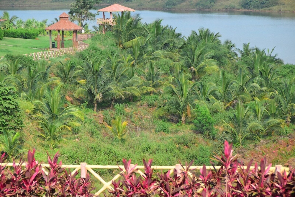 Fazlani Natures Nest - A Wellness Retreat 43/50