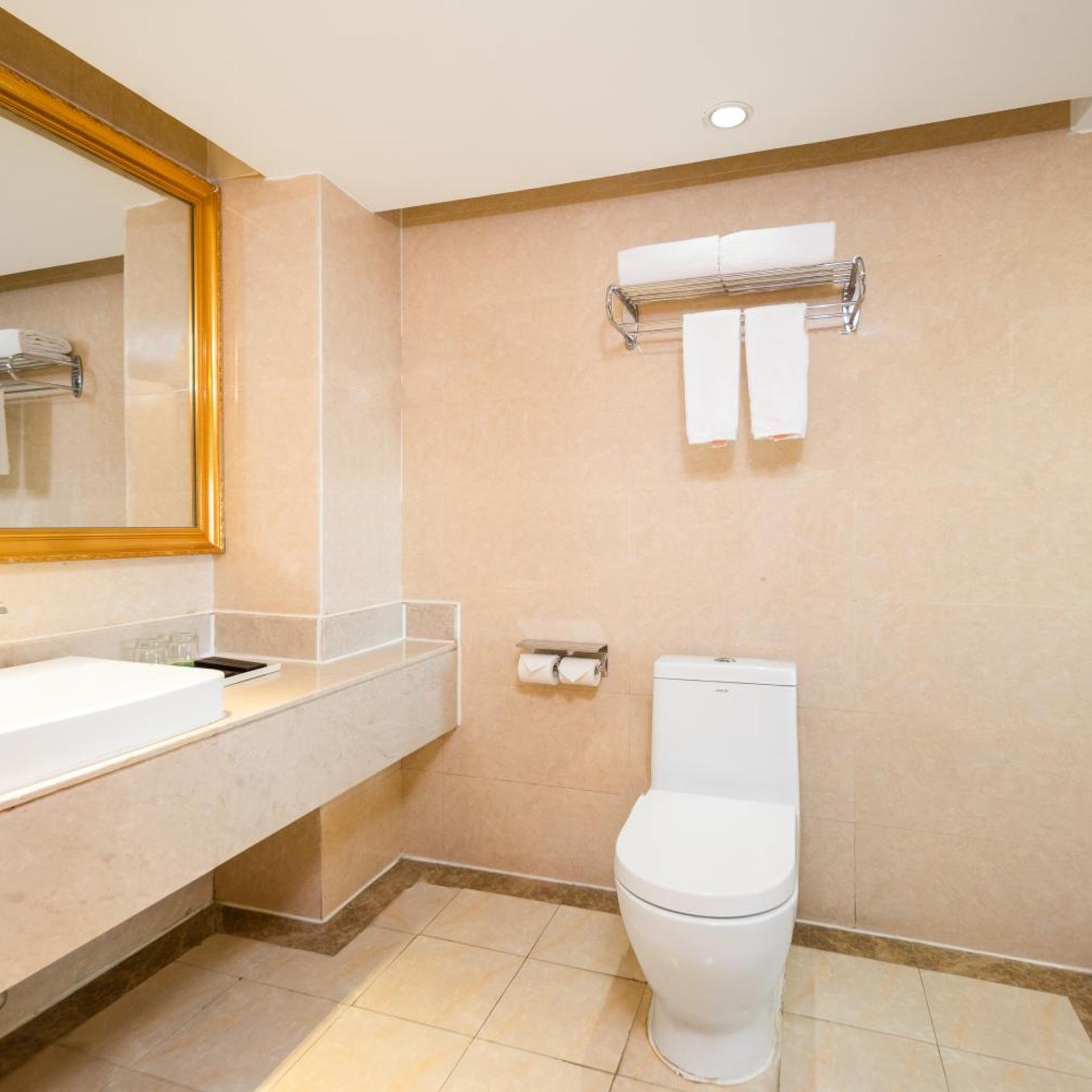 Vienna International Hotel (Wuhan Jiefang Avenue Tongji Medical College) 65/69