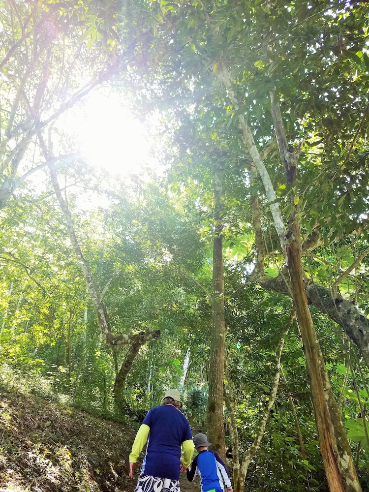 Table Rock Jungle Lodge 23/65