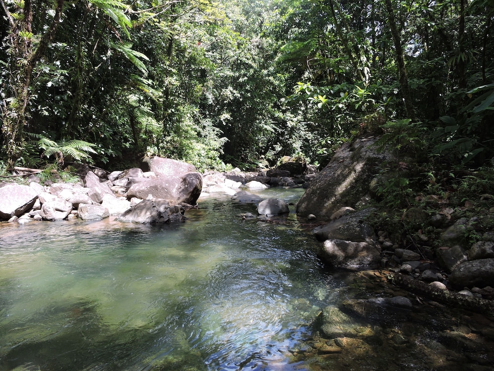 Hibiscus Valley Inn 41/50