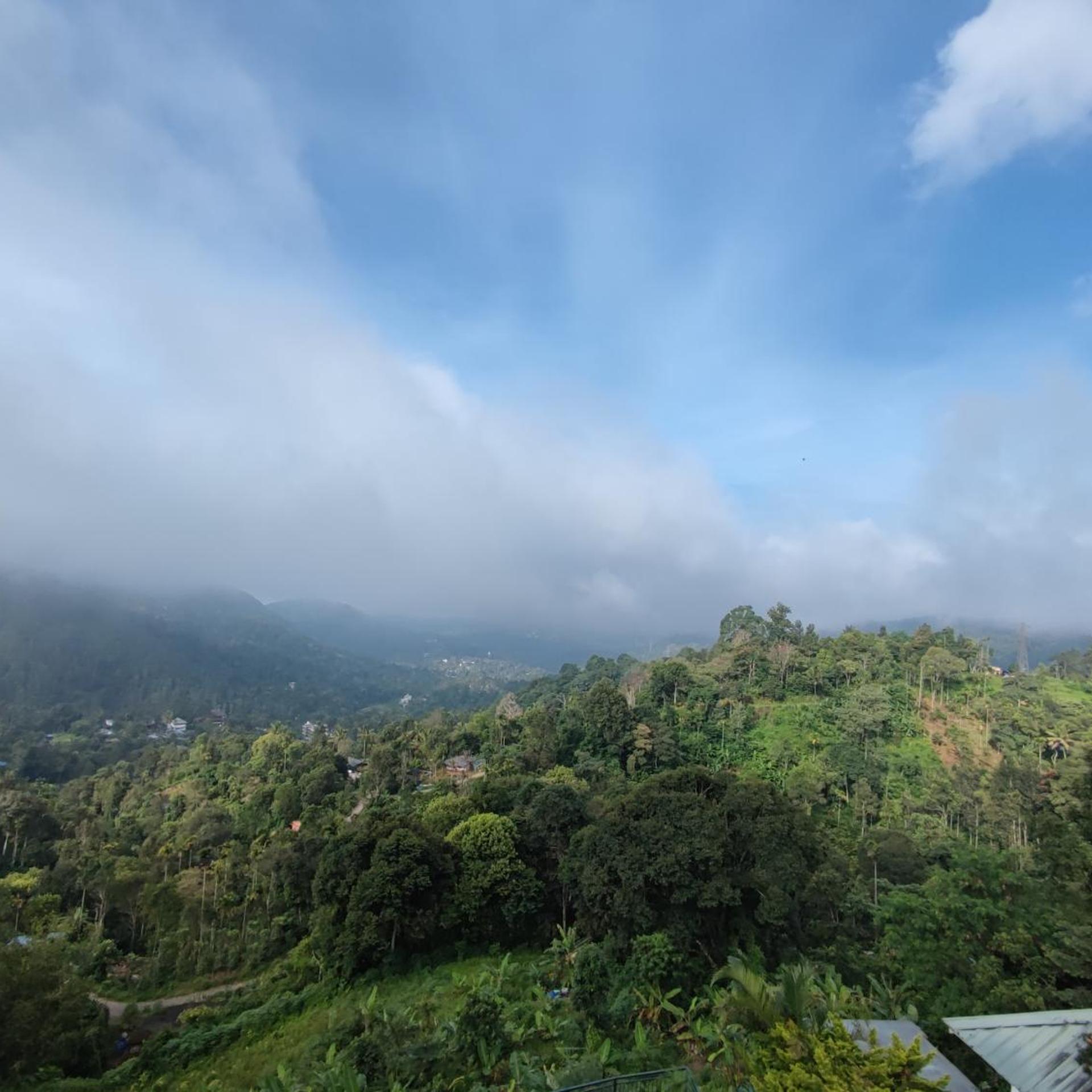 Munnar Tea Country Resort 34/47