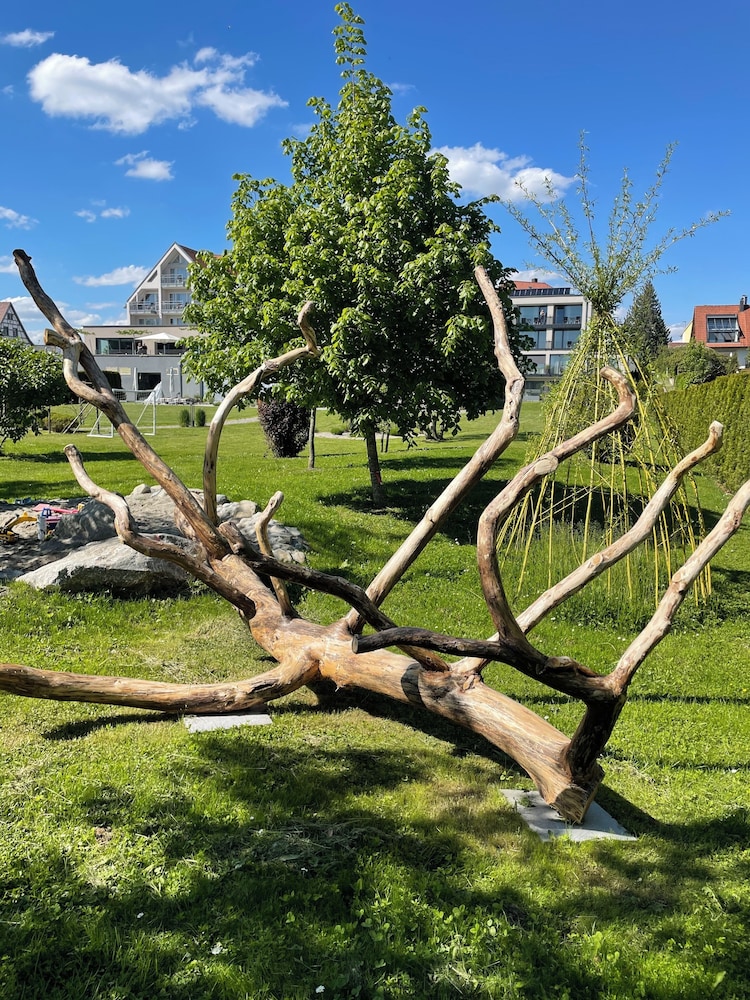 Traube Am See 63/70
