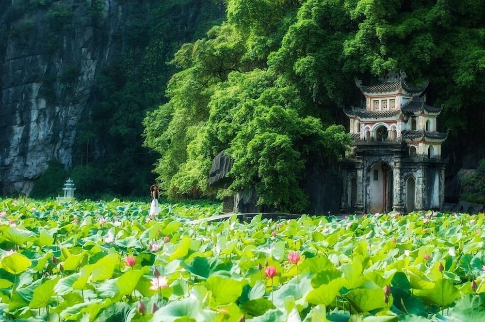 Anh Tuan Tam Coc Old Space Bungalow 40/50