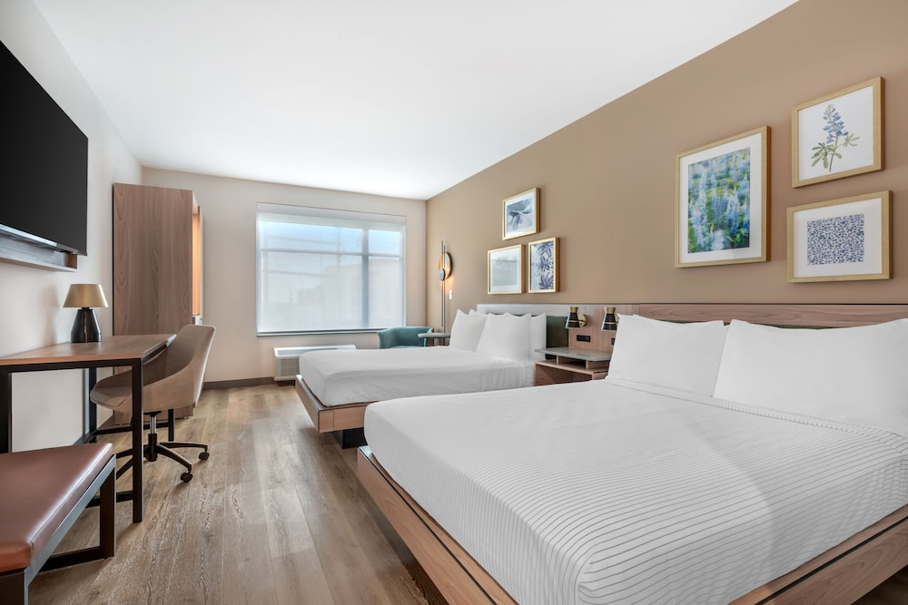 Cambria Hotel Euless - DFW Airport South 21/50