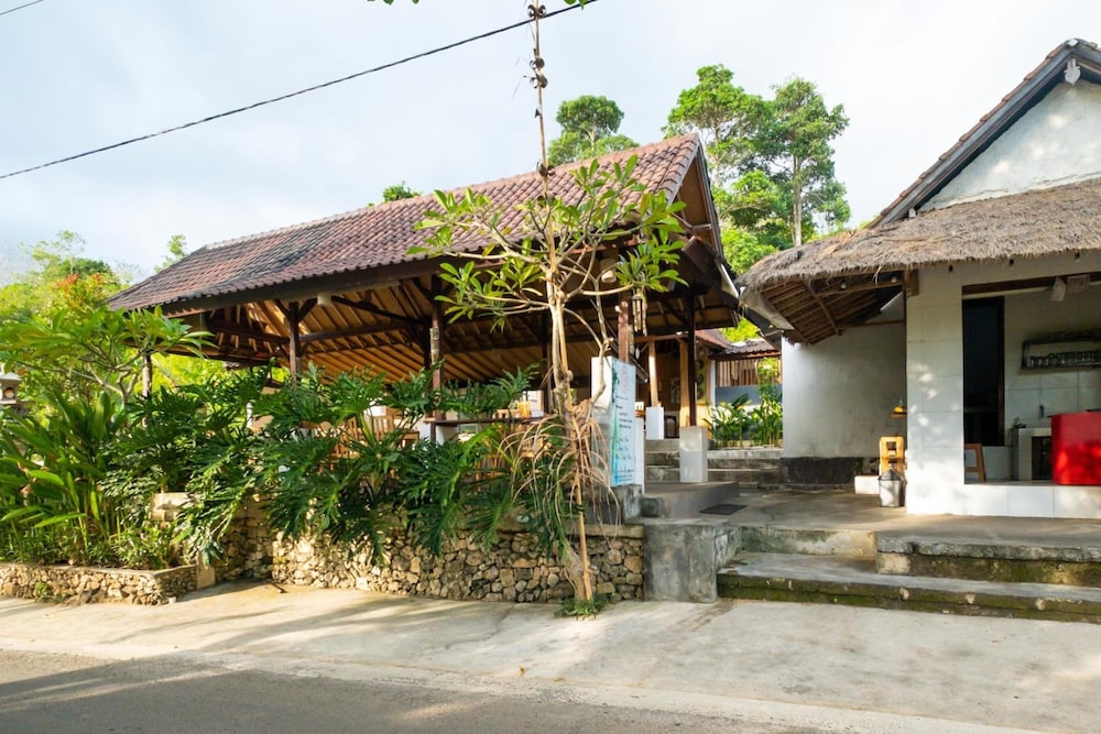 NG Sweet Home 4/50