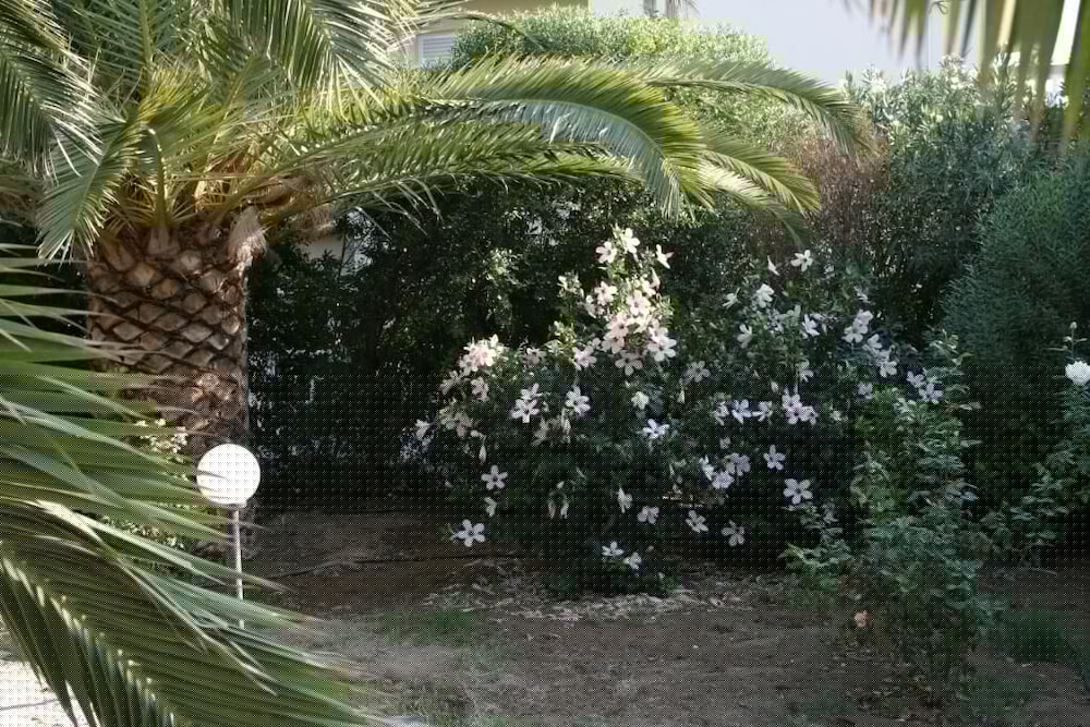 Gorgona Hotel 40/47