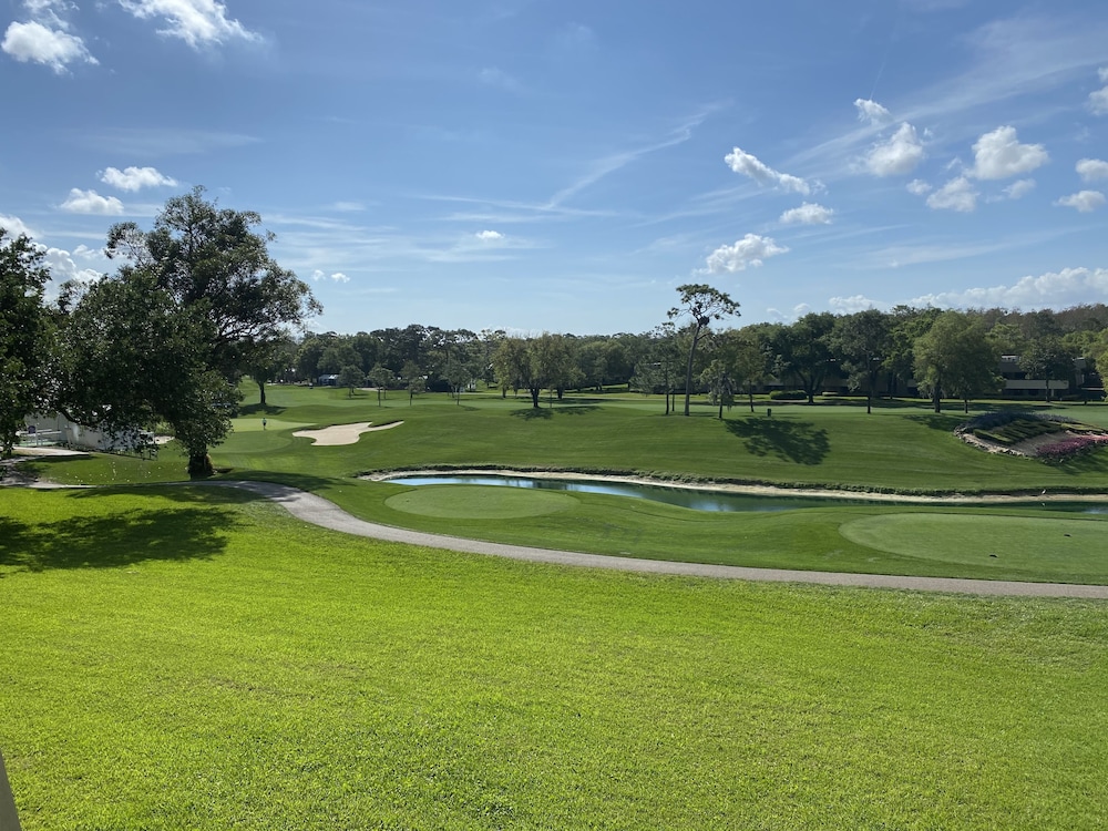 Innisbrook Resort 34/72