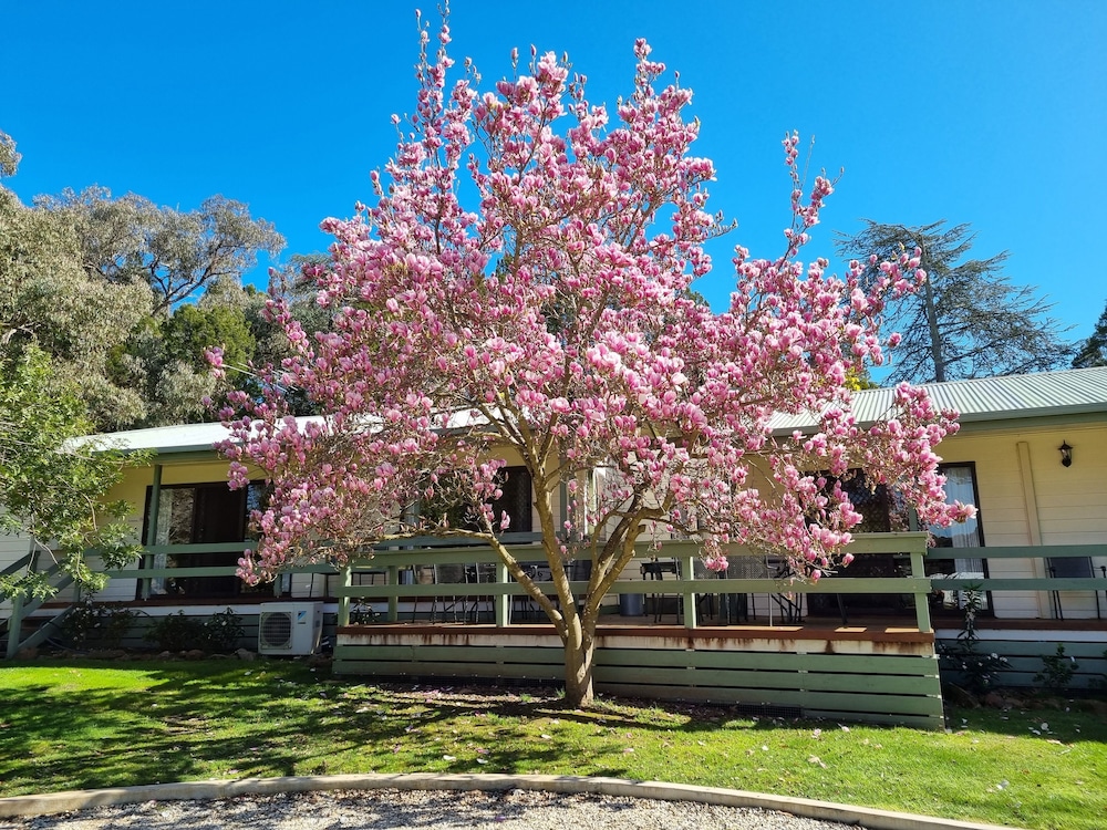 Golden Heritage Apartments Beechworth 32/35