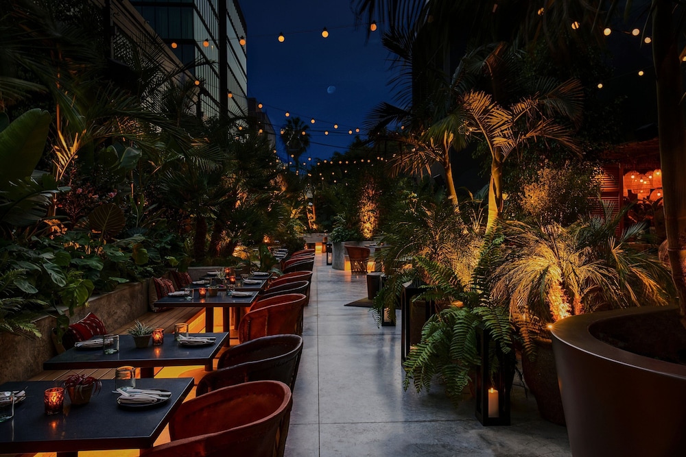 HOLLYWOOD VOLUME, a Tribute Portfolio Hotel 40/50