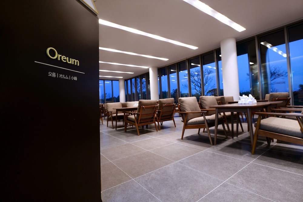Jeju Aerospace Hotel 27/39