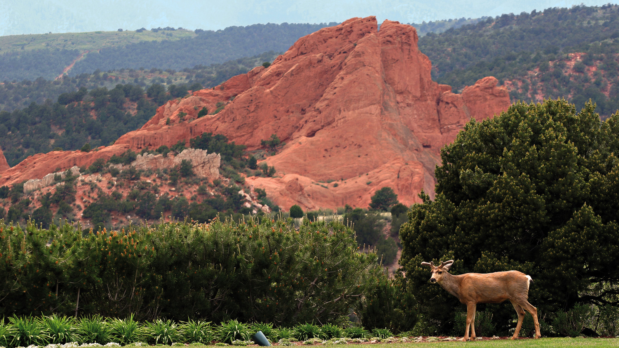 Garden Of The Gods Club And Resort 76/83