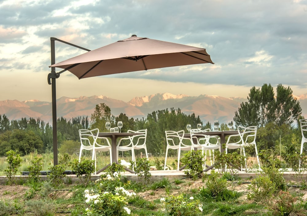 Postales Boutique WIne Hotels - Valle de Uco 6/50